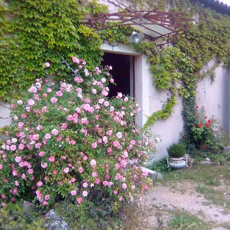 Le Domaine De Belle Bed and Breakfast LʼIsle-sur-la-Sorgue Εξωτερικό φωτογραφία