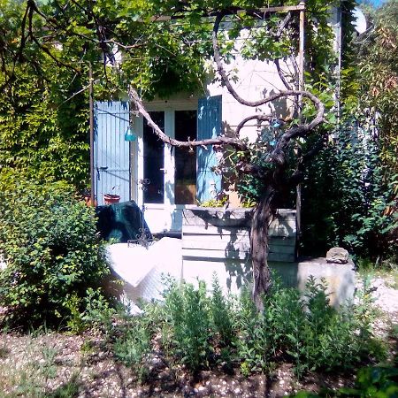 Le Domaine De Belle Bed and Breakfast LʼIsle-sur-la-Sorgue Εξωτερικό φωτογραφία