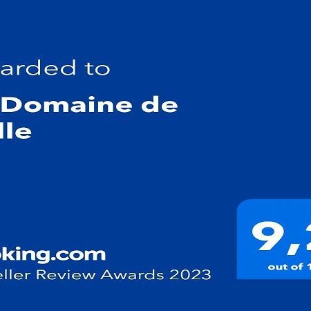 Le Domaine De Belle Bed and Breakfast LʼIsle-sur-la-Sorgue Εξωτερικό φωτογραφία