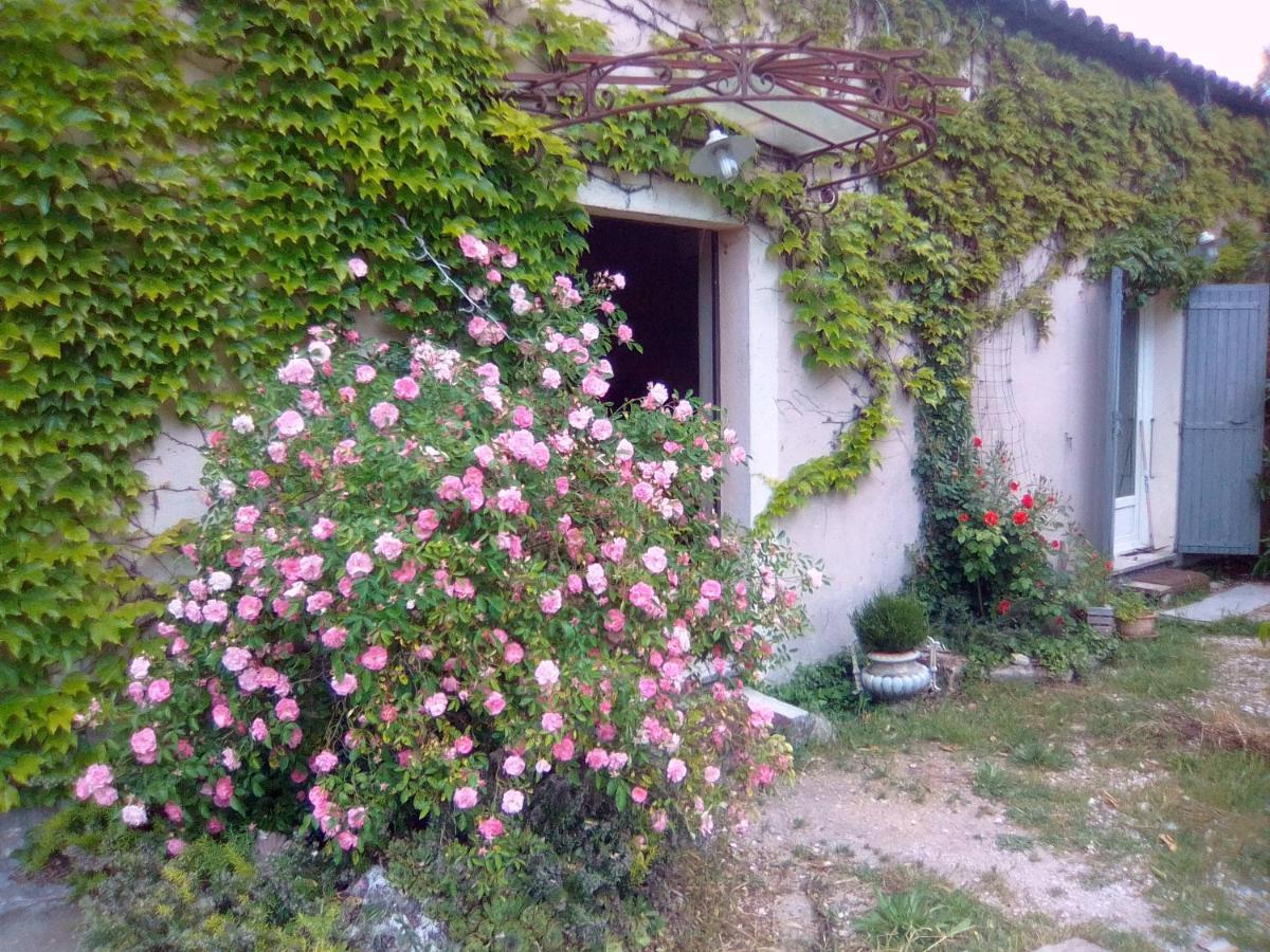 Le Domaine De Belle Bed and Breakfast LʼIsle-sur-la-Sorgue Εξωτερικό φωτογραφία