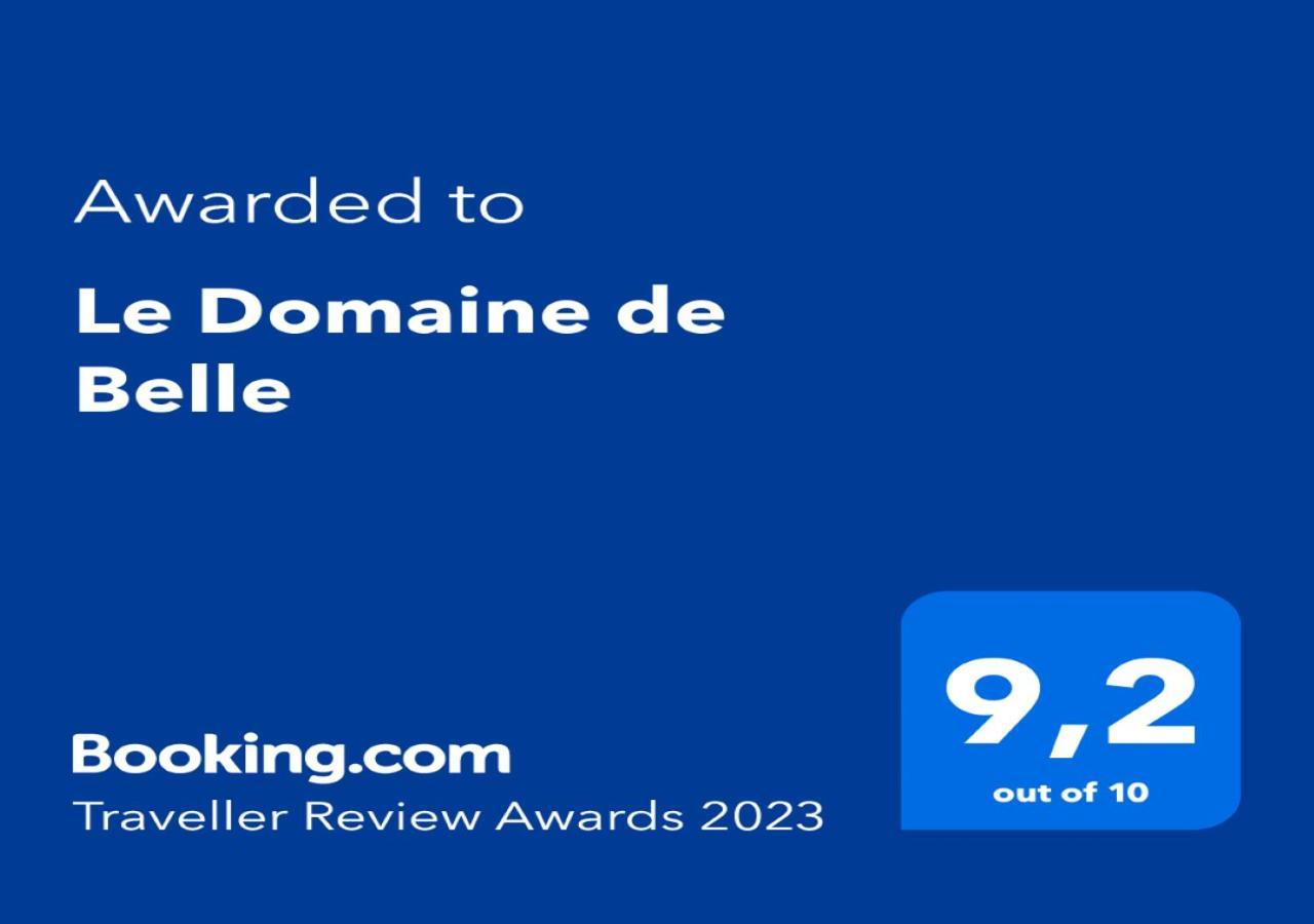 Le Domaine De Belle Bed and Breakfast LʼIsle-sur-la-Sorgue Εξωτερικό φωτογραφία